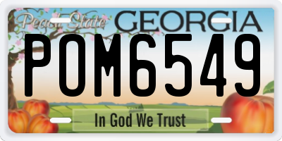 GA license plate POM6549