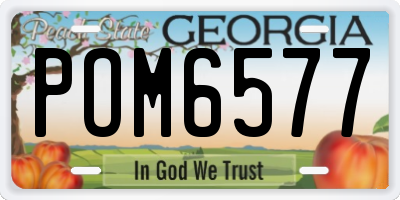 GA license plate POM6577