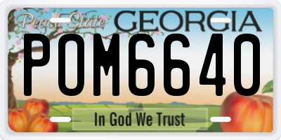 GA license plate POM6640