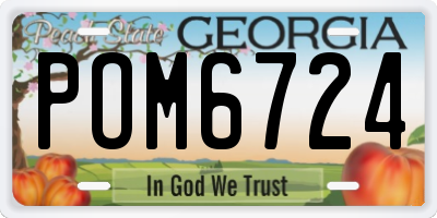 GA license plate POM6724