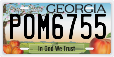 GA license plate POM6755