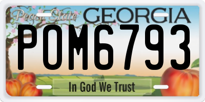 GA license plate POM6793