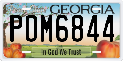 GA license plate POM6844