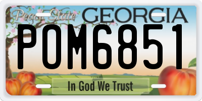 GA license plate POM6851