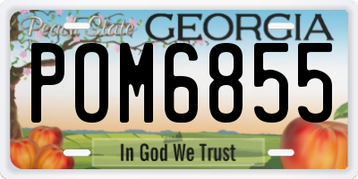 GA license plate POM6855