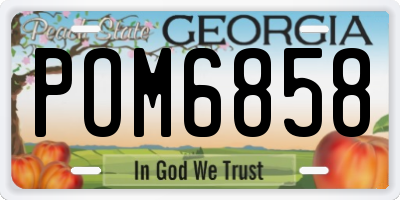 GA license plate POM6858