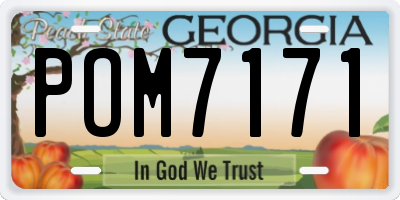 GA license plate POM7171