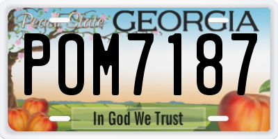 GA license plate POM7187