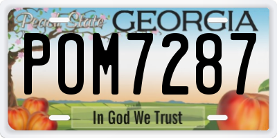 GA license plate POM7287