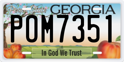 GA license plate POM7351
