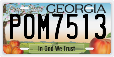 GA license plate POM7513