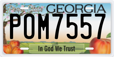 GA license plate POM7557