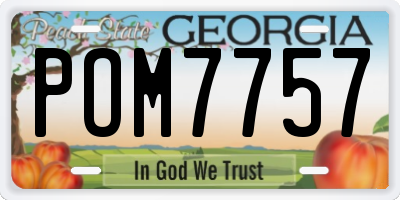 GA license plate POM7757