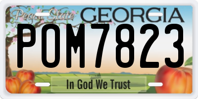 GA license plate POM7823