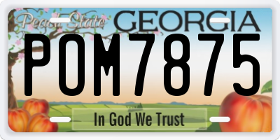 GA license plate POM7875