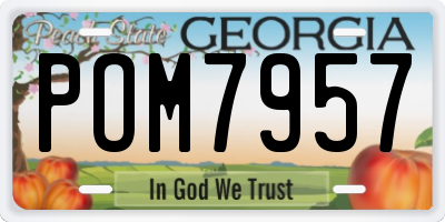 GA license plate POM7957