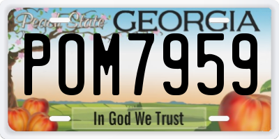 GA license plate POM7959