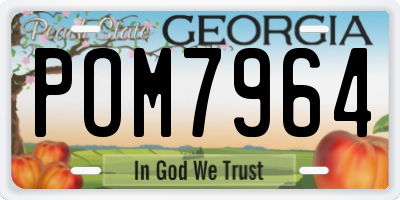 GA license plate POM7964