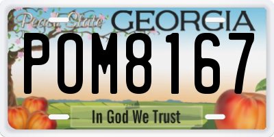 GA license plate POM8167