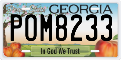GA license plate POM8233