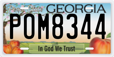 GA license plate POM8344