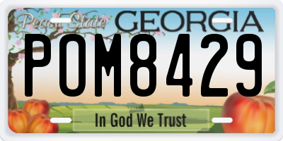 GA license plate POM8429