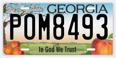 GA license plate POM8493