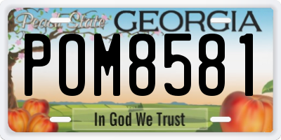 GA license plate POM8581