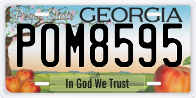 GA license plate POM8595