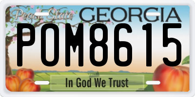 GA license plate POM8615