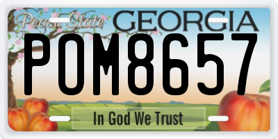 GA license plate POM8657