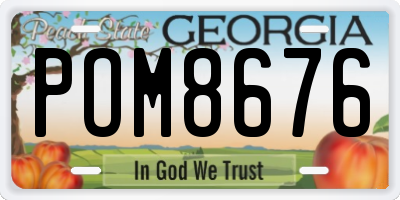 GA license plate POM8676