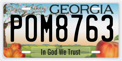 GA license plate POM8763