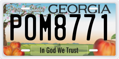 GA license plate POM8771