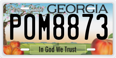 GA license plate POM8873