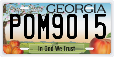 GA license plate POM9015