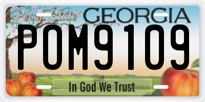 GA license plate POM9109