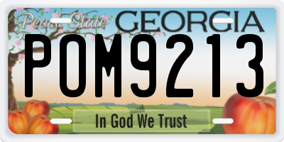 GA license plate POM9213