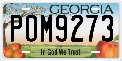 GA license plate POM9273