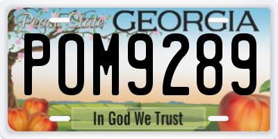GA license plate POM9289