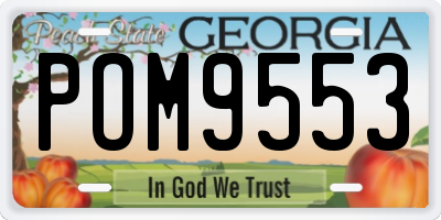GA license plate POM9553