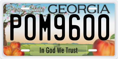 GA license plate POM9600