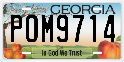 GA license plate POM9714