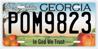 GA license plate POM9823