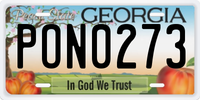 GA license plate PON0273