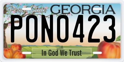 GA license plate PON0423