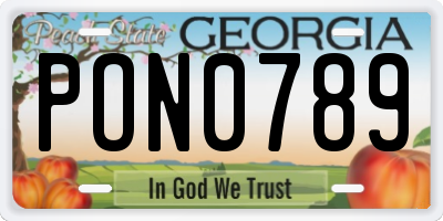 GA license plate PON0789