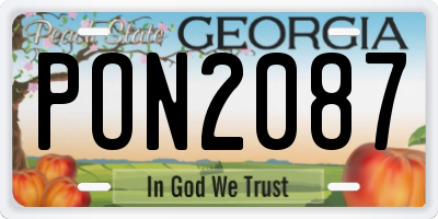 GA license plate PON2087