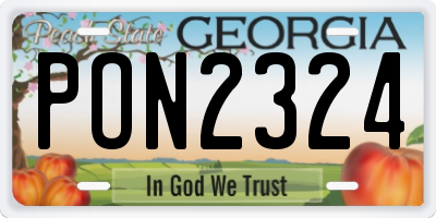GA license plate PON2324