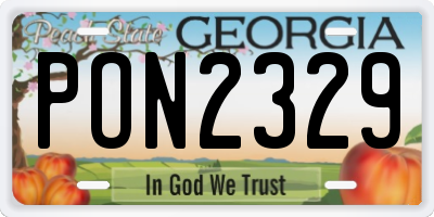 GA license plate PON2329